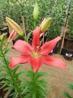 [4046 Treasure Island No102.JPG]